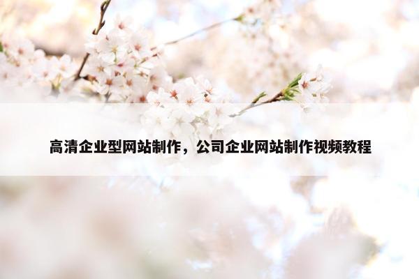 高清企业型网站制作，公司企业网站制作视频教程