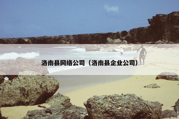 洛南县网络公司（洛南县企业公司）
