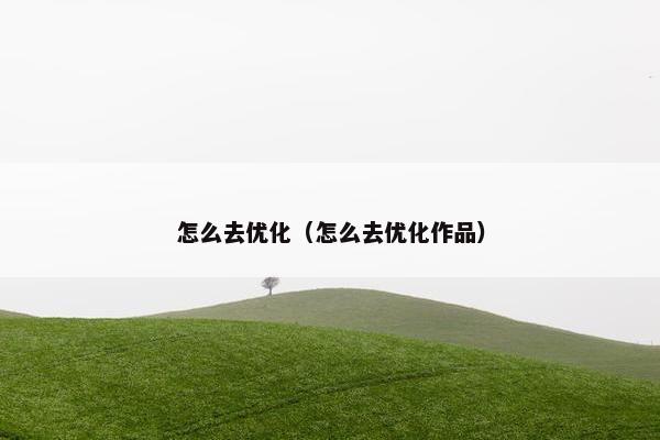 怎么去优化（怎么去优化作品）