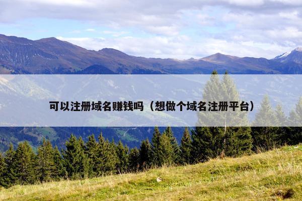 可以注册域名赚钱吗（想做个域名注册平台）