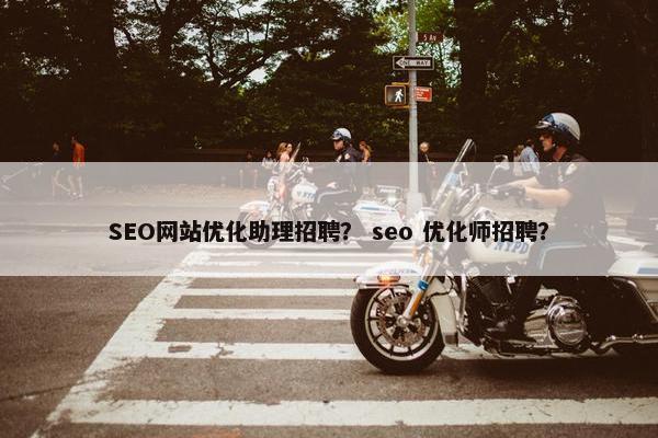 SEO网站优化助理招聘？ seo 优化师招聘？