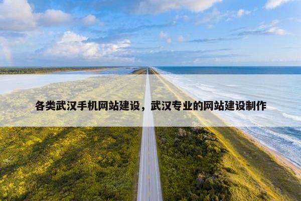 各类武汉手机网站建设，武汉专业的网站建设制作