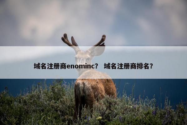 域名注册商enominc？ 域名注册商排名？