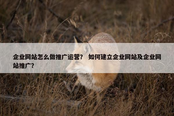 企业网站怎么做推广运营？ 如何建立企业网站及企业网站推广？