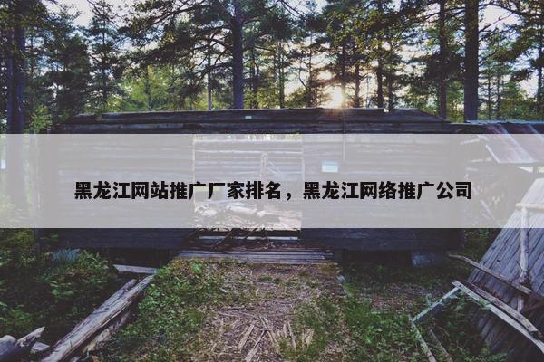 黑龙江网站推广厂家排名，黑龙江网络推广公司