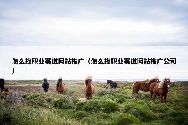 怎么找职业赛道网站推广（怎么找职业赛道网站推广公司）