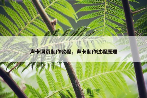 声卡网页制作教程，声卡制作过程原理