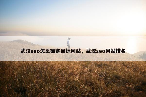 武汉seo怎么确定目标网站，武汉seo网站排名