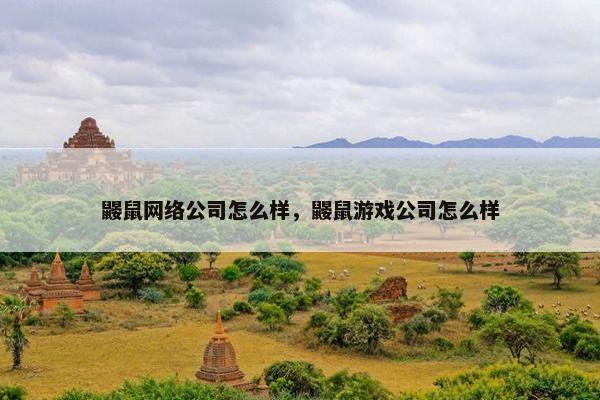 鼹鼠网络公司怎么样，鼹鼠游戏公司怎么样