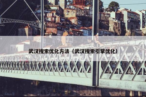 武汉搜索优化方法（武汉搜索引擎优化）