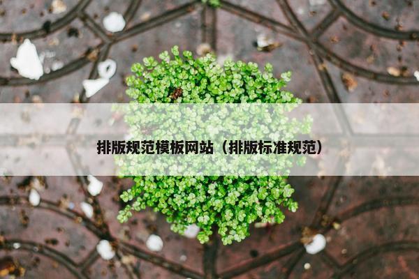 排版规范模板网站（排版标准规范）