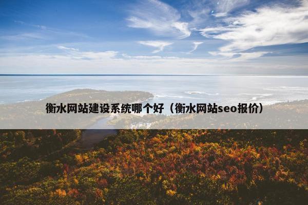 衡水网站建设系统哪个好（衡水网站seo报价）