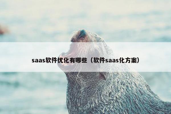 saas软件优化有哪些（软件saas化方案）