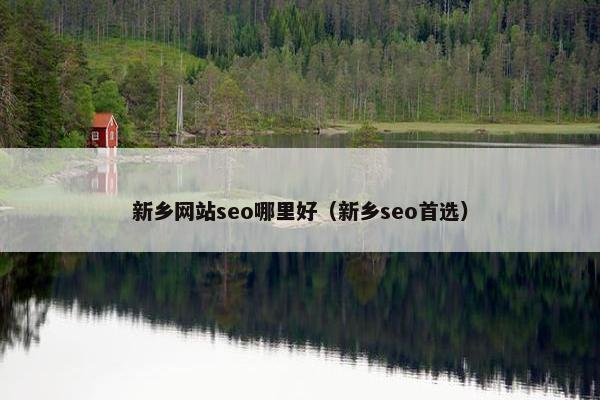 新乡网站seo哪里好（新乡seo首选）