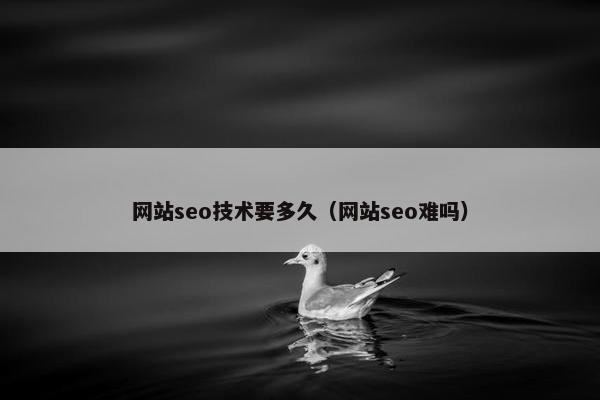 网站seo技术要多久（网站seo难吗）