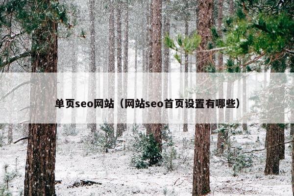 单页seo网站（网站seo首页设置有哪些）