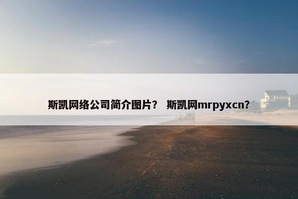 斯凯网络公司简介图片？ 斯凯网mrpyxcn？