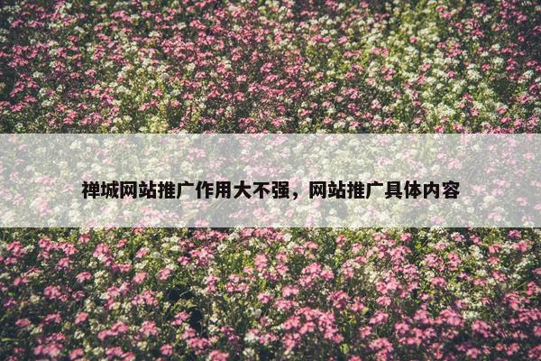 禅城网站推广作用大不强，网站推广具体内容