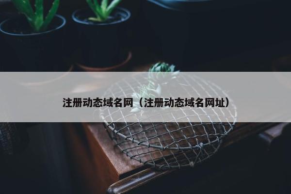注册动态域名网（注册动态域名网址）