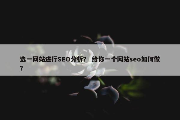 选一网站进行SEO分析？ 给你一个网站seo如何做？