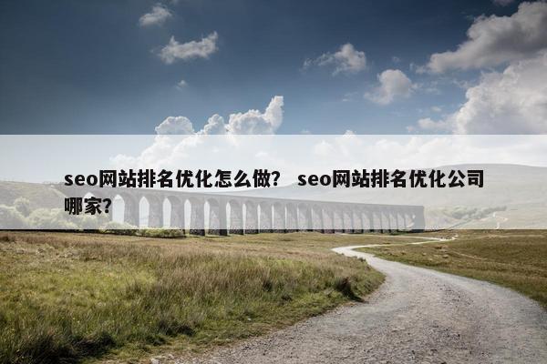 seo网站排名优化怎么做？ seo网站排名优化公司哪家？