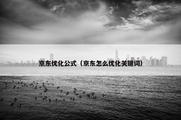 京东优化公式（京东怎么优化关键词）